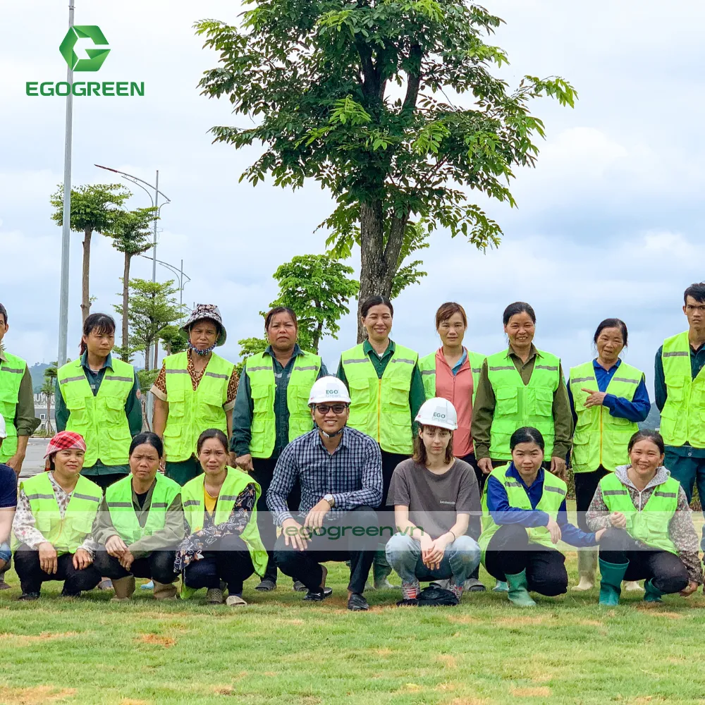 Đội ngũ lành nghề hơn 10 năm kinh nghiệm của EGOGREEN